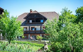 Ferienappartments Hansbauer